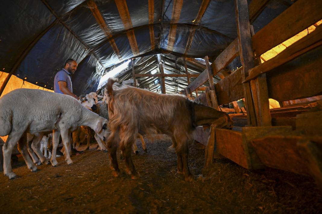 Besiciler kurban pazarlarından ayrılmaya başladı - Resim: 12